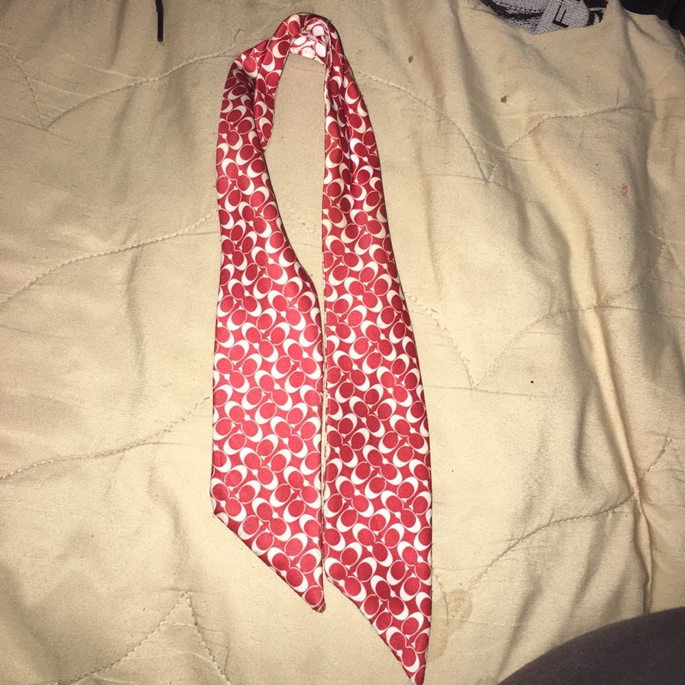 Coach pony scarf
